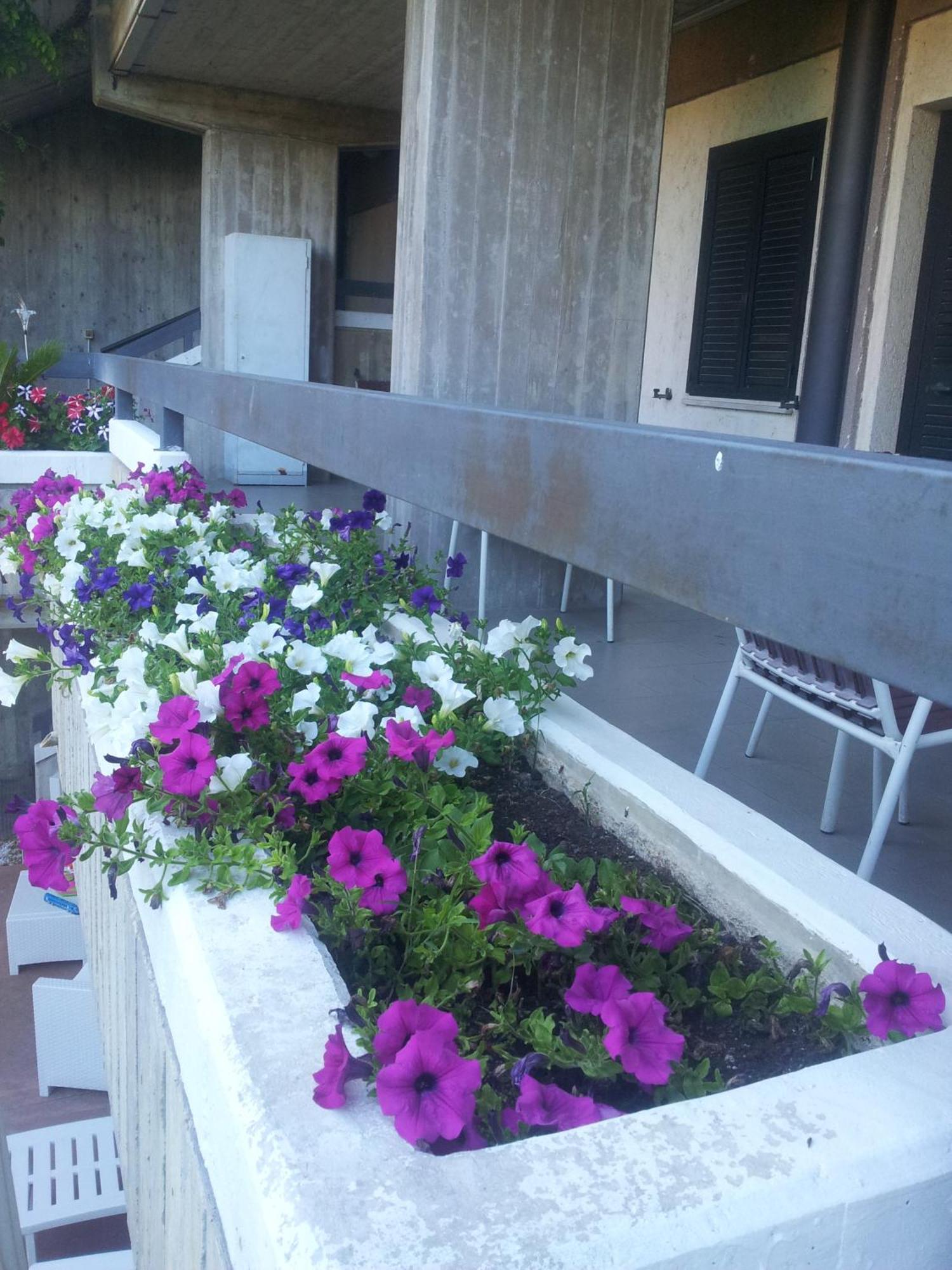 Borgiano  Hotel Ferranti מראה חיצוני תמונה
